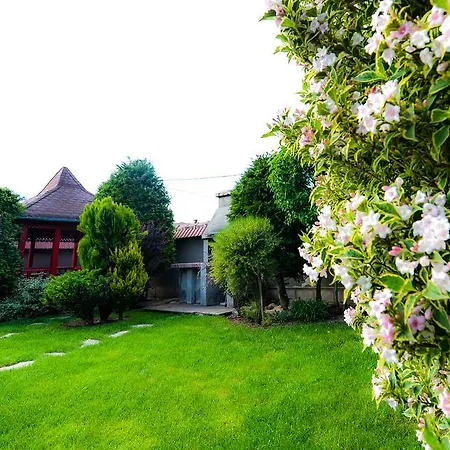 Pensiune Casa Mihai
