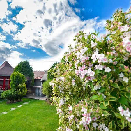 Guest house Casa Mihai *